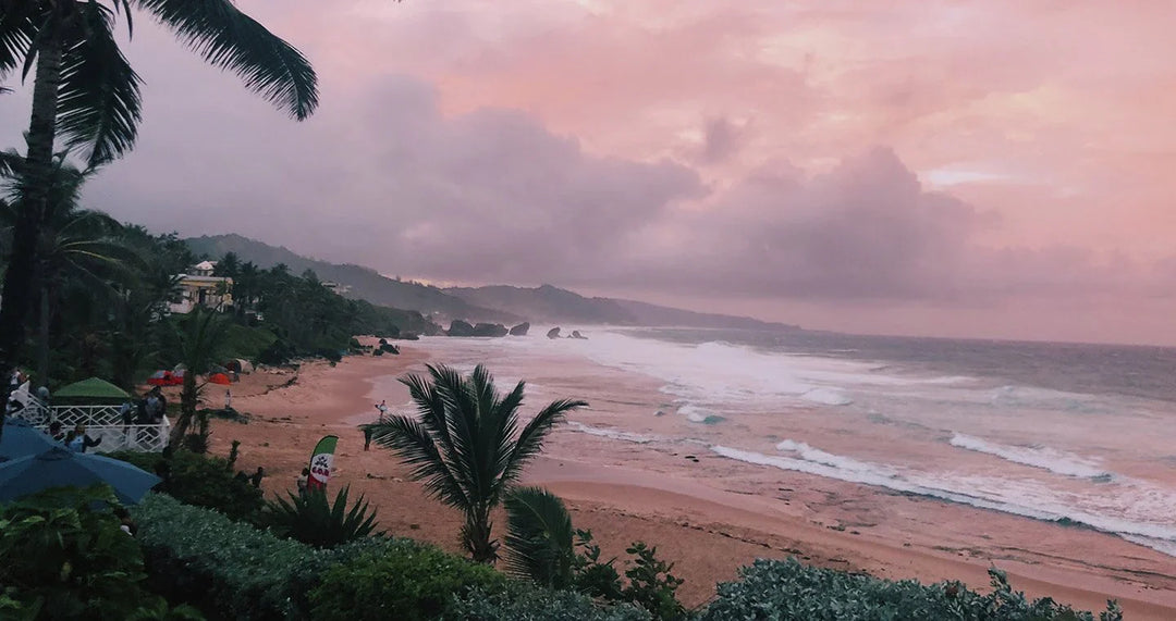 Scenic Barbados beach at sunset with pink skies, lush greenery, and ocean waves.