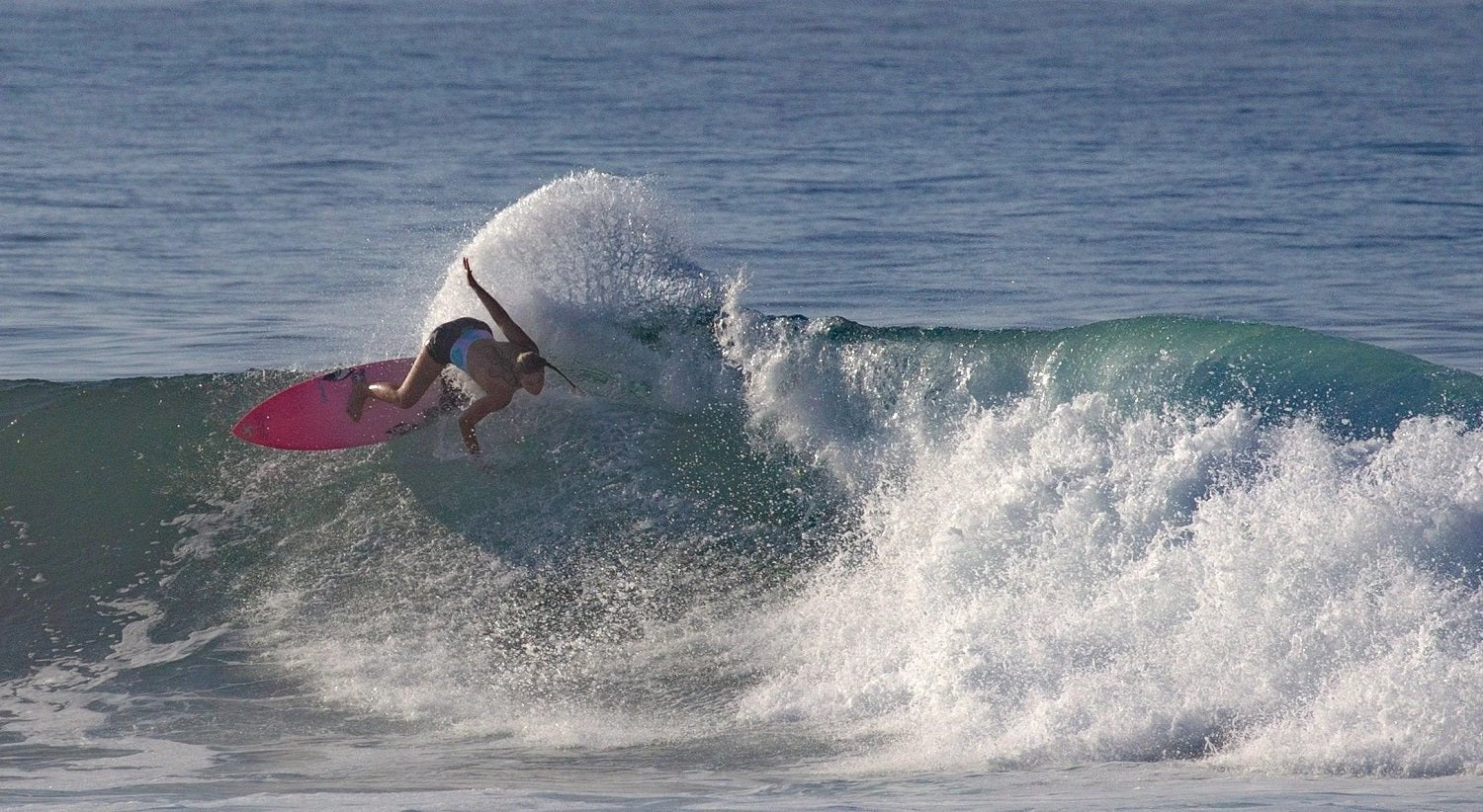 Sisstrevolution surf boardshorts - sisstrevolution.co.uk